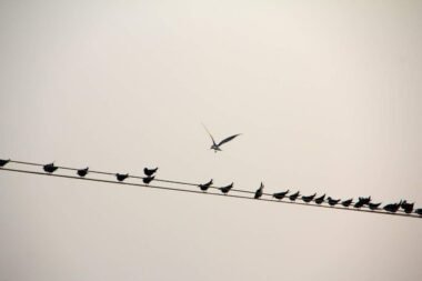 Top 20 Definitions of Management Image